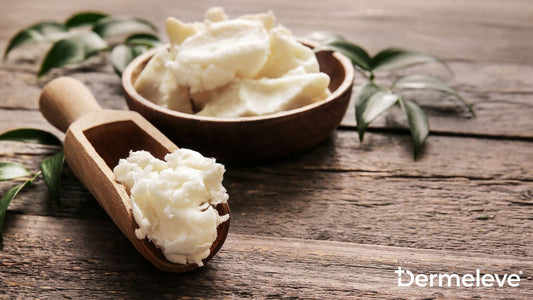 What are the Benefits of Shea Butter - Featured Image
